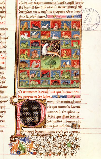 Ms 399 fol.241 Le proprietà degli animali, dal 